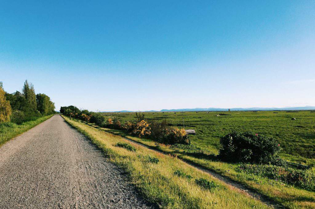 West Dyke Trail, Richmond BC